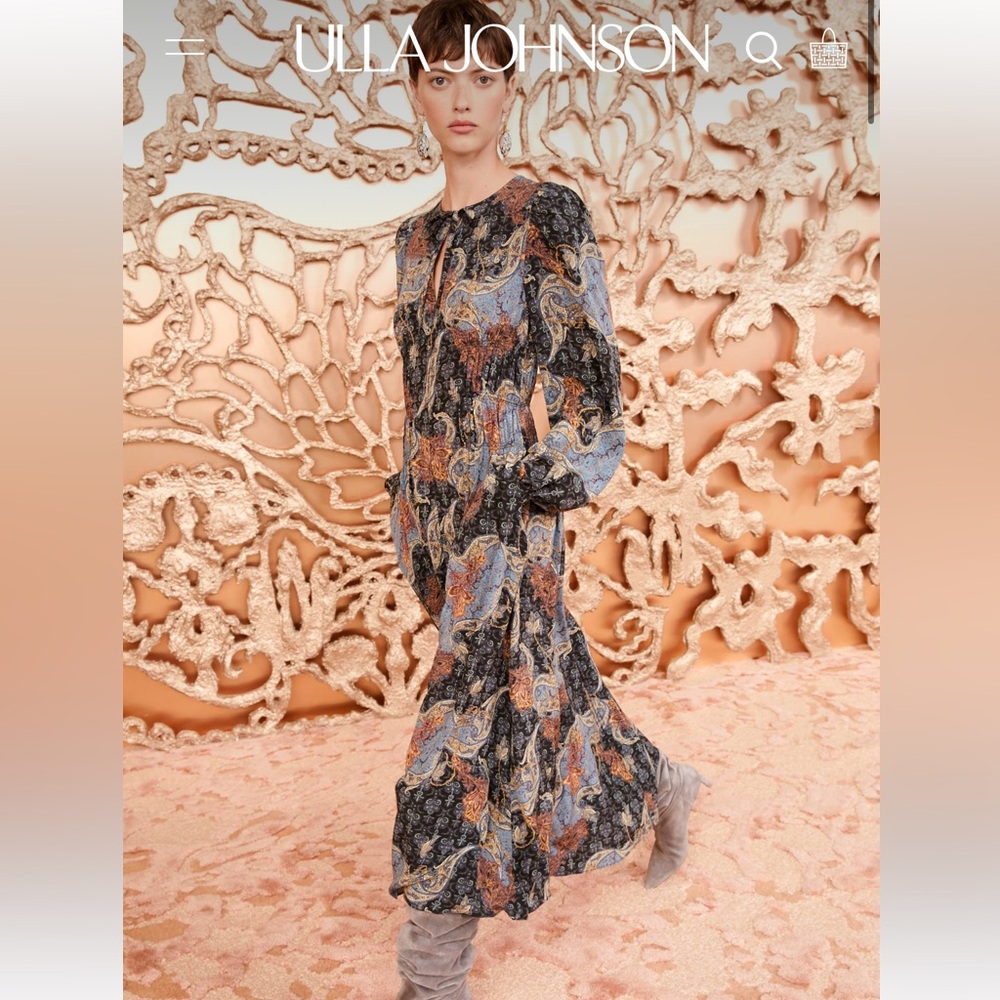Ulla Johnson Paisley Long Sleeve Dress - Picture 3 of 15